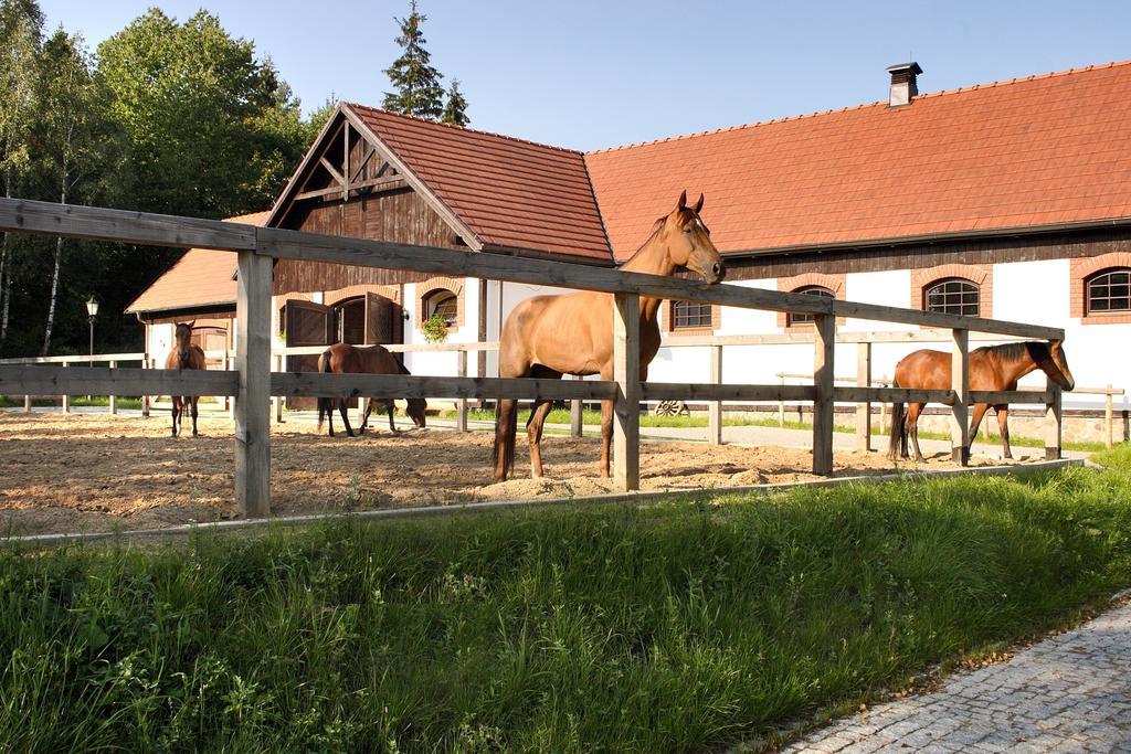 Hotel SPA Dr Irena Eris Wzgórza Dylewskie Wysoka Wieś Exterior foto